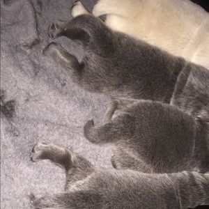 Meet your Posher, Karina